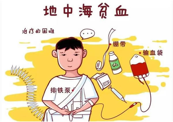 试管之窗