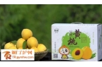 铜仁探索生态产品价值实现机制