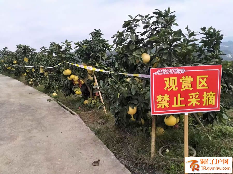 微信图片_2026-10-10_094121_931.jpg